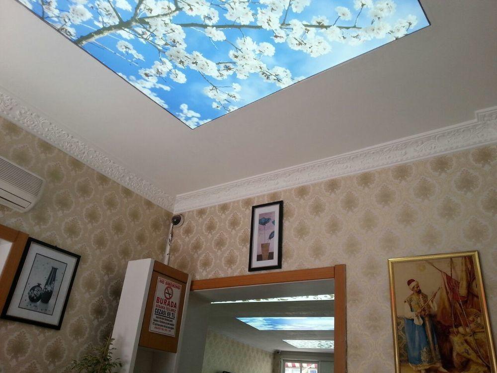 Elite Plus Family Hotel Old City Istambul Extérieur photo